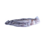 Pulpo 4/6