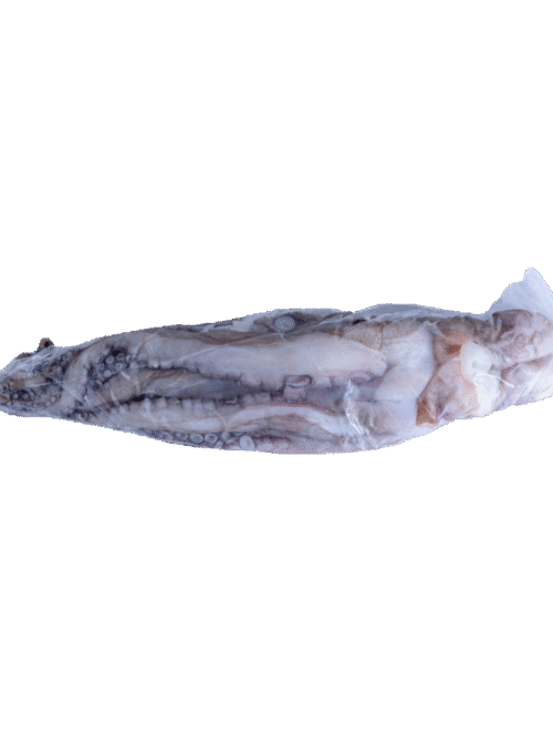Pulpo 1/2