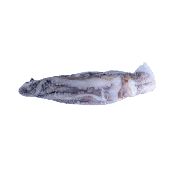 Pulpo 6/8