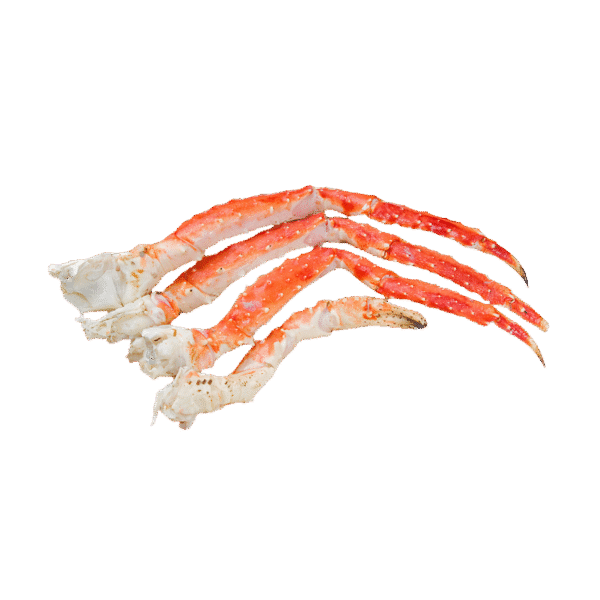 King Crab