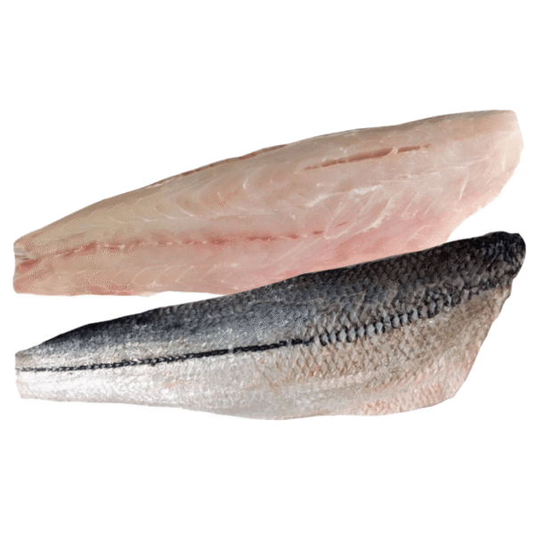 FIL. Róbalo Salvaje