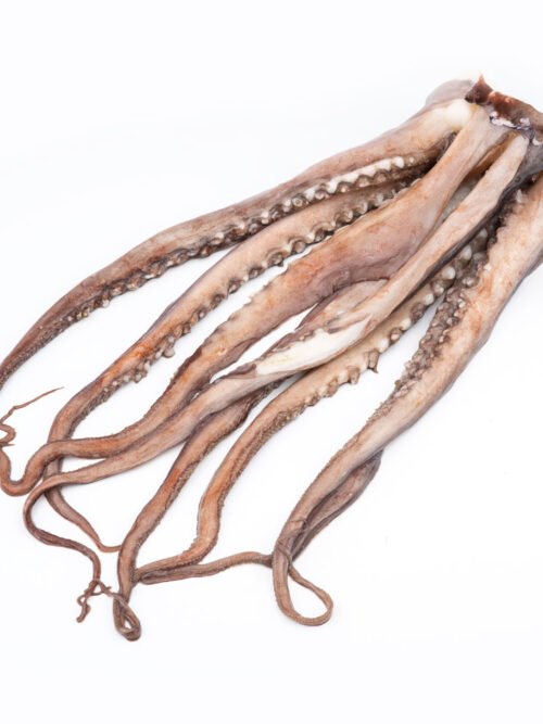 Calamar Tentaculo Crudo